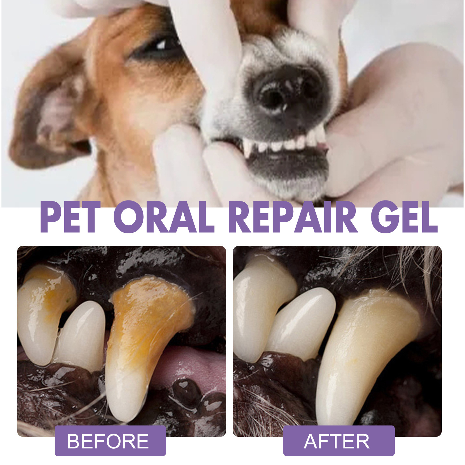 Pet Oral Repair Gel Puppy Tart - Teeth Whitening Levels review and price